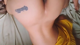 A Collection Of Wife'S Sexual Acts For Her Husband